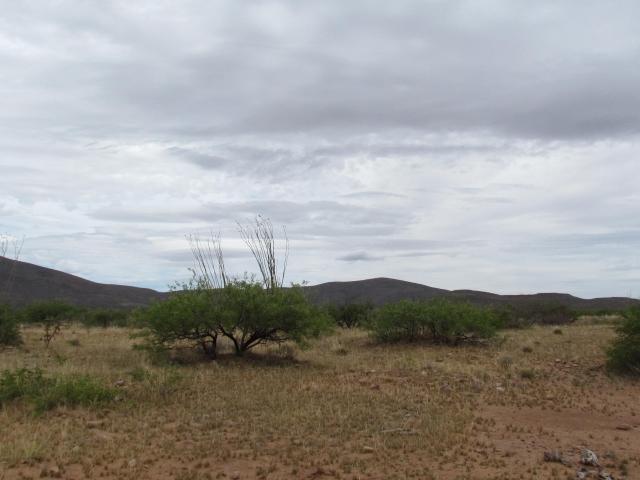Land for sale in Tombstone, Cochise County