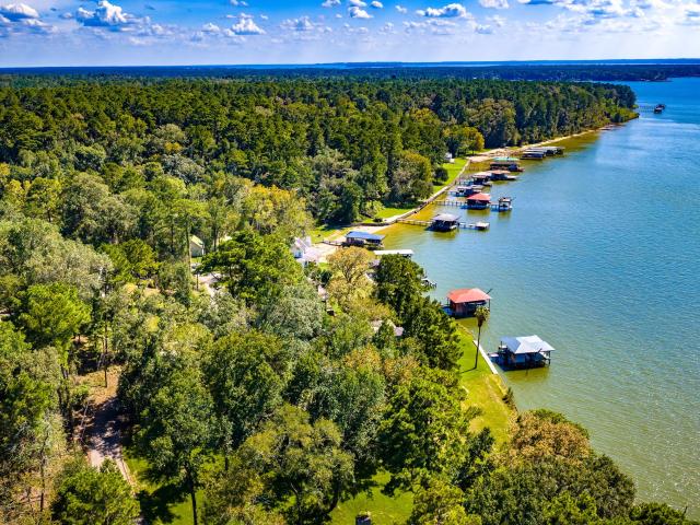Land for sale in Polk, Texas