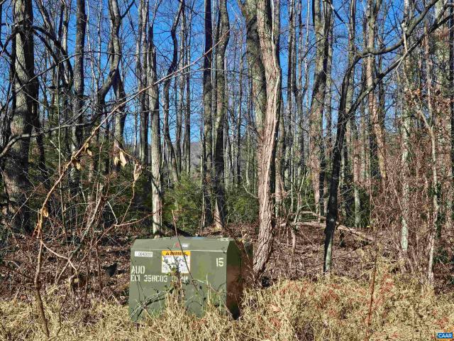 Land for sale in Virginia
