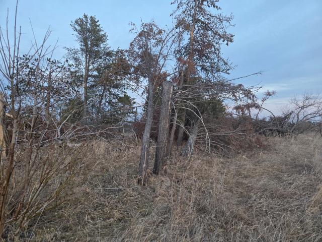 Land for sale in Beltrami, Minnesota