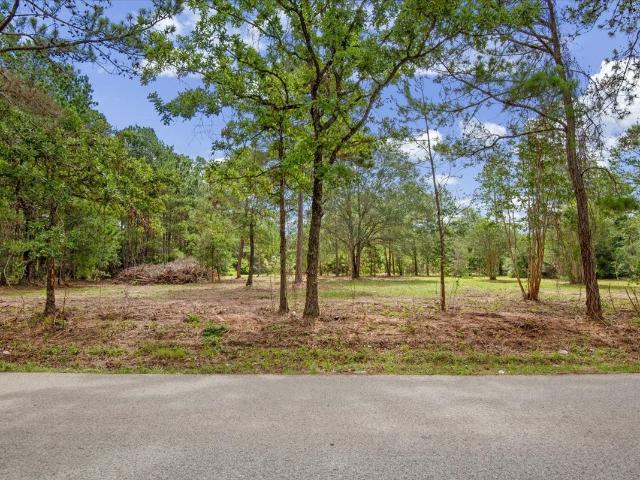 Land for sale in Grimes, Texas
