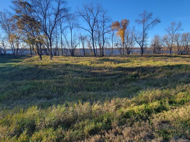 Land for sale in Green Lake Township, Kandiyohi County