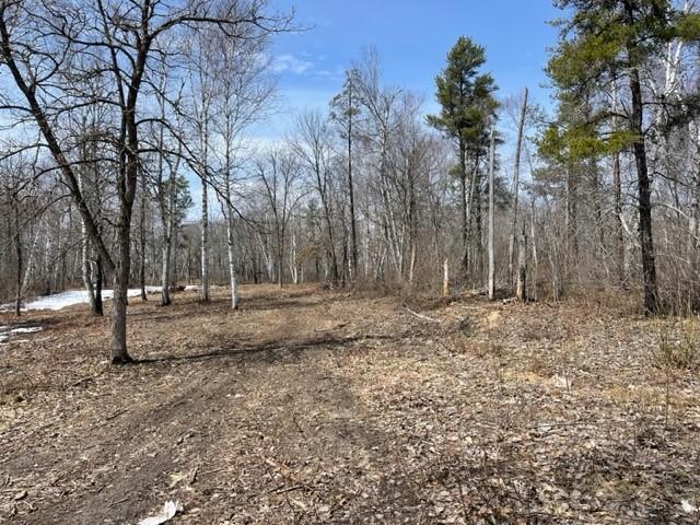 Land for sale in Hubbard, Minnesota