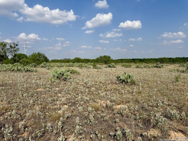 Land for sale in Moore, Texas