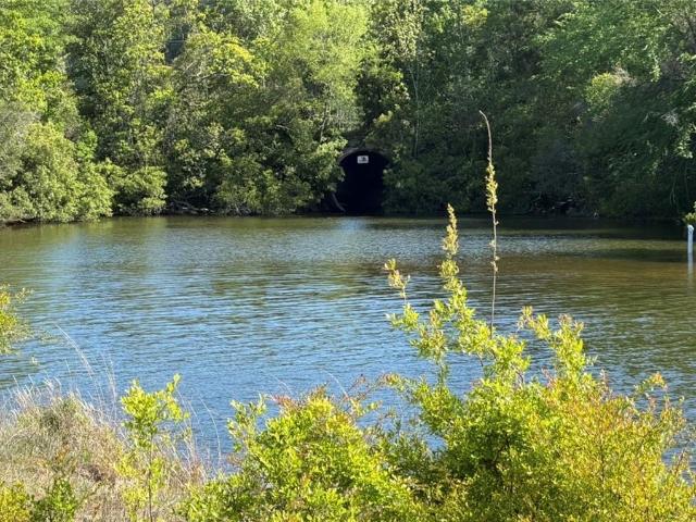 Land for sale in Franklinton, Louisiana