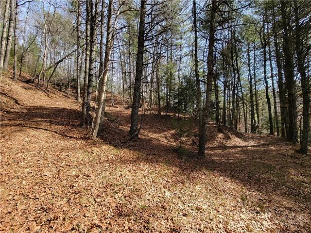 Land for sale in North Carolina