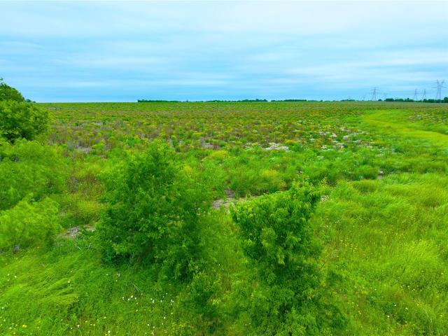 Land for sale in Milam, Texas