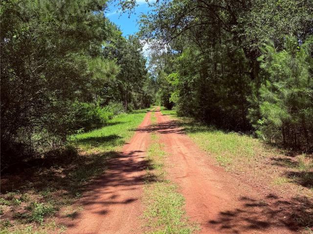 Land for sale in Hempstead, Texas