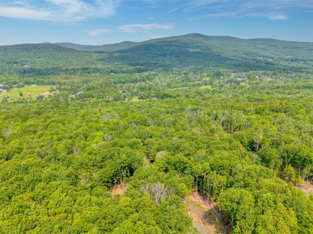 Land for sale in Ashland, New York