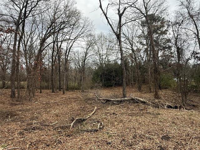 Land for sale in Grand Saline, Texas