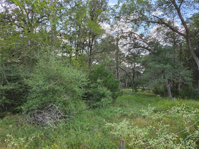Land for sale in Columbus, Texas