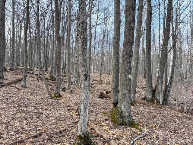 Land for sale in Mohawk, Michigan