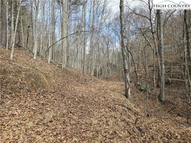 Land for sale in Alleghany, North Carolina