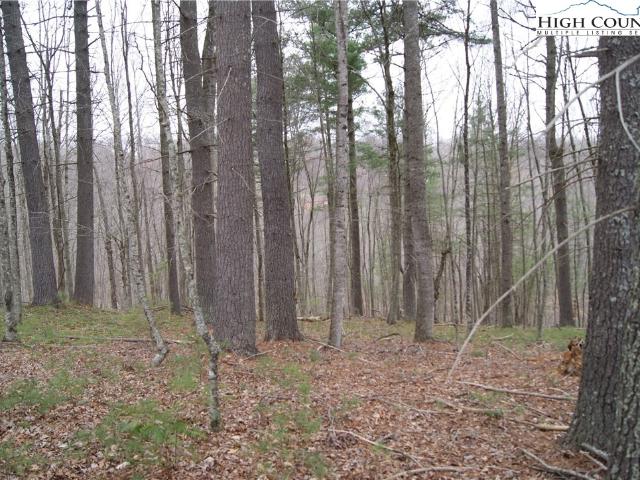 Land for sale in Alleghany, North Carolina