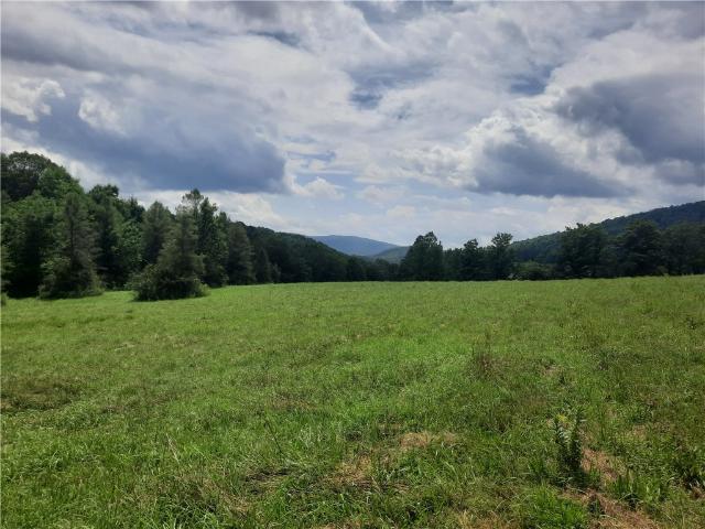 Land for sale in Andes, New York