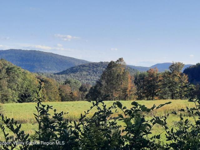 Land for sale in Andes, New York