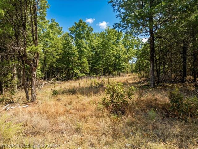 Land for sale in Ark