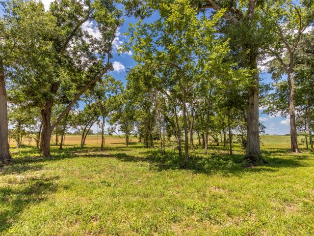 Land for sale in Chappell Hill, Texas