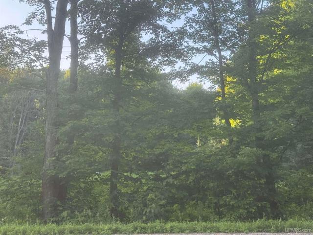 Land for sale in Sagola, Michigan