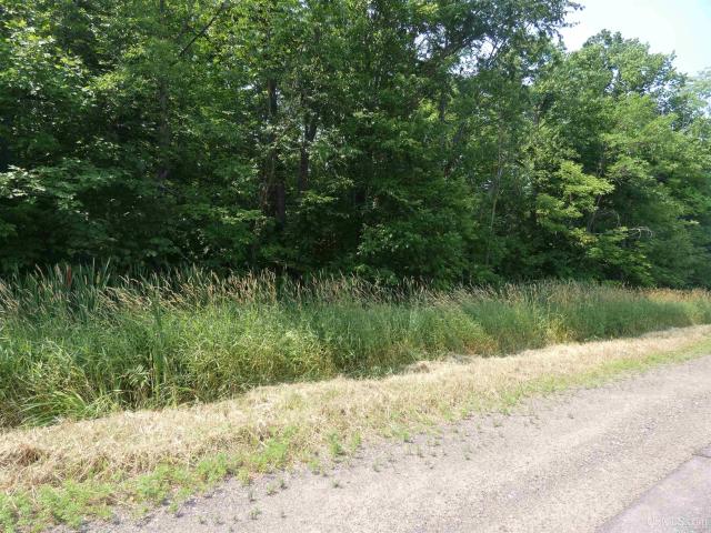 Land for sale in Michigan