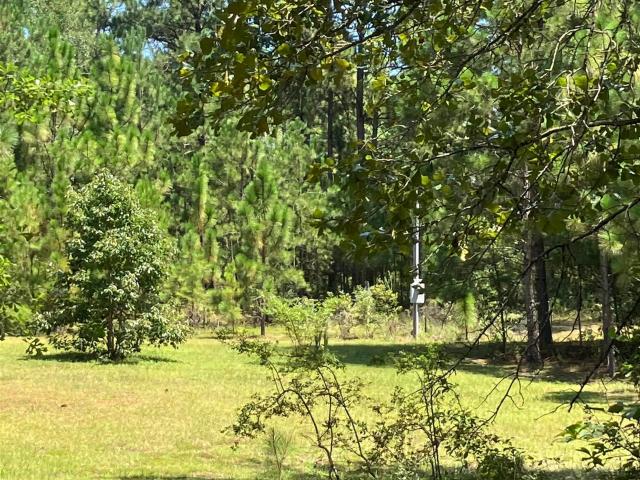 Land for sale in Gaston, Lexington County