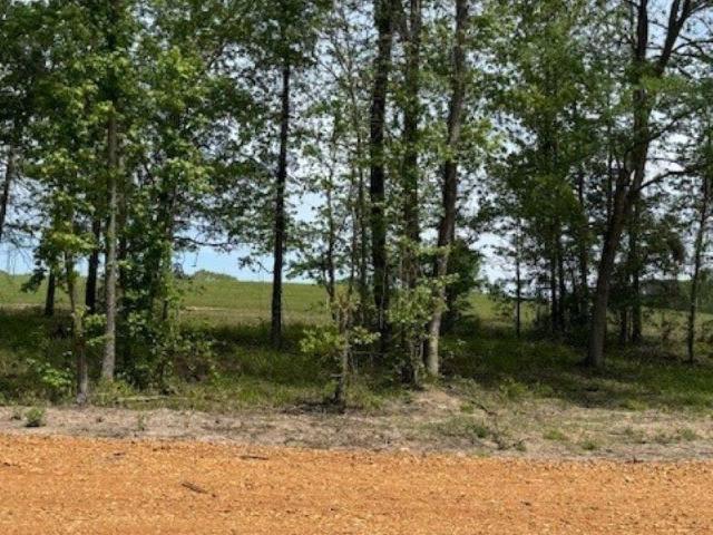 Land for sale in Ark