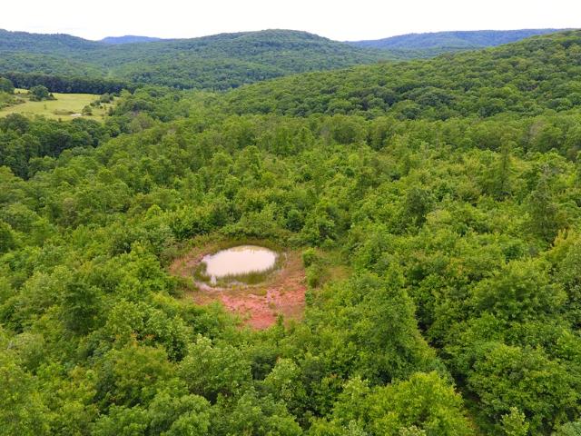 Farm for sale in Ark