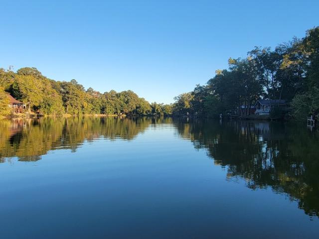 Land for sale in Polk, Texas