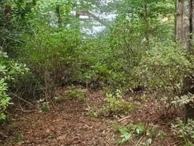 Land for sale in Granite Falls, North Carolina
