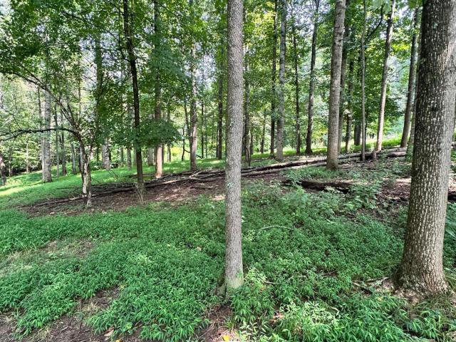 Land for sale in Tennessee