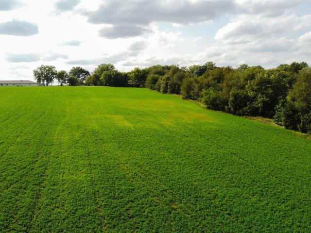 Land for sale in Sidney, Fremont County
