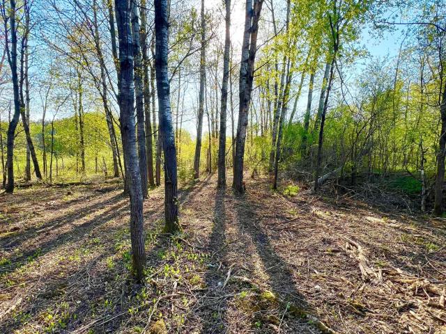 Land for sale in Sandstone, Minnesota