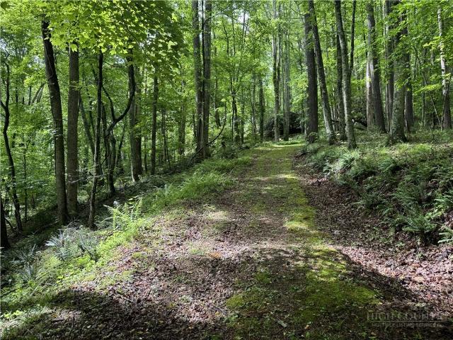 Land for sale in Watauga, North Carolina