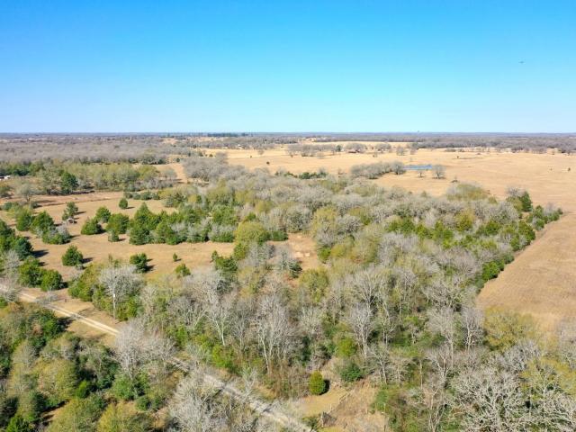 Land for sale in Madisonville, Texas