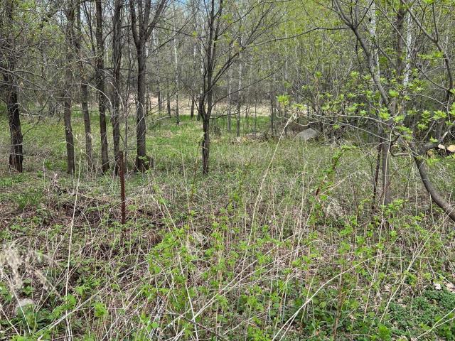 Land for sale in Morrison, Minnesota
