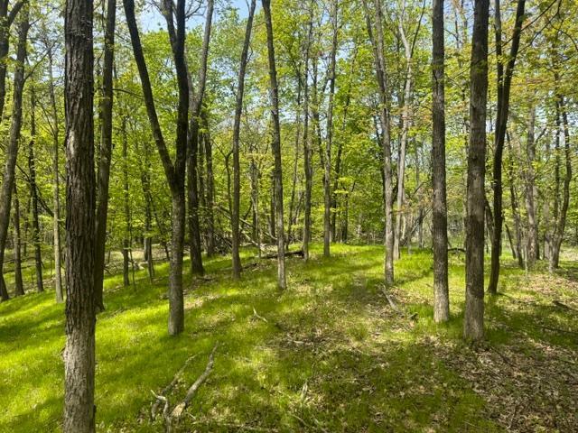 Land for sale in Hennepin, Minnesota