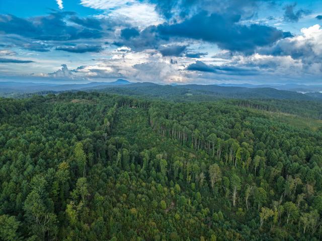 Land for sale in Virginia