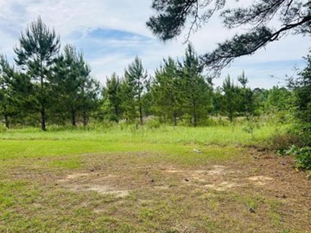 Land for sale in Pitkin, Louisiana