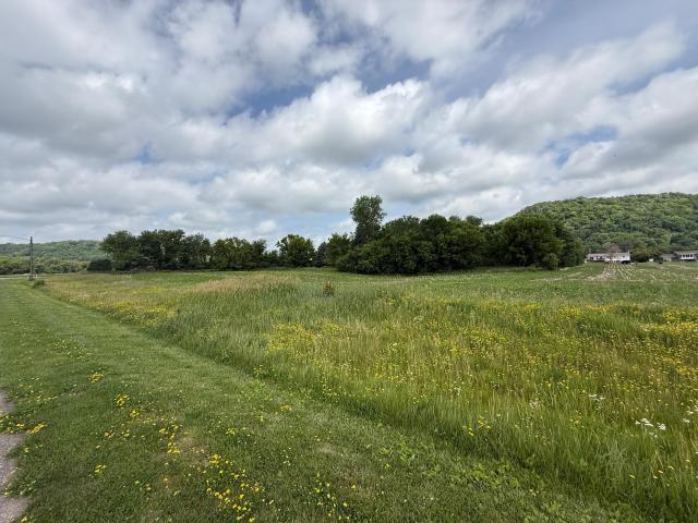 Land for sale in Elmwood, Wisconsin