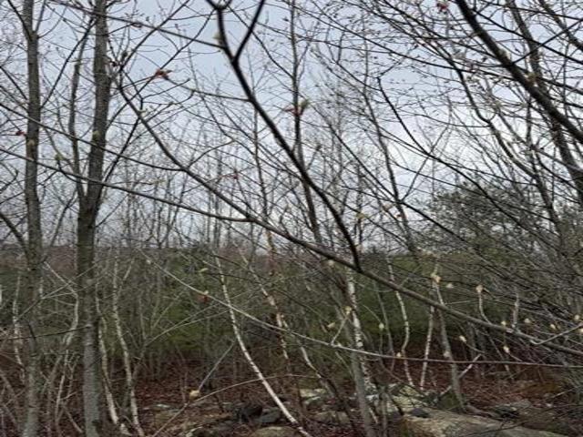 Land for sale in Milton, Strafford County
