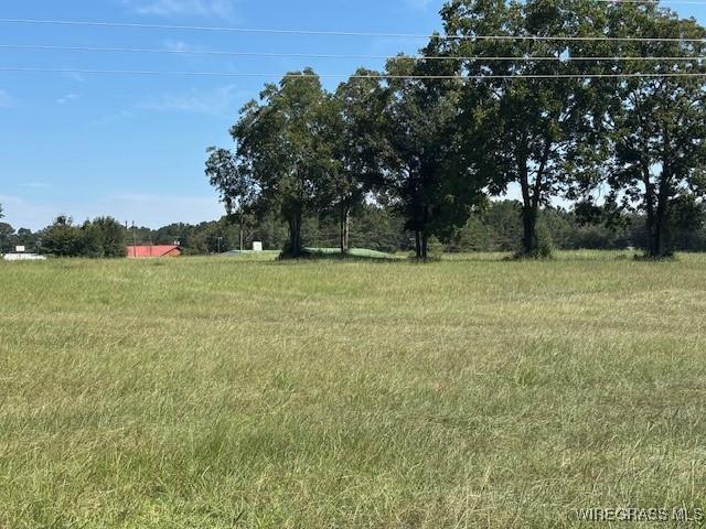 Land for sale in Opp, Alabama