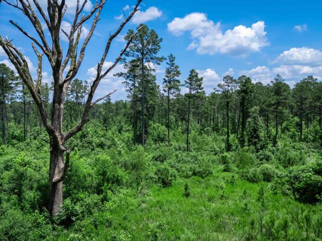 Land for sale in Ark