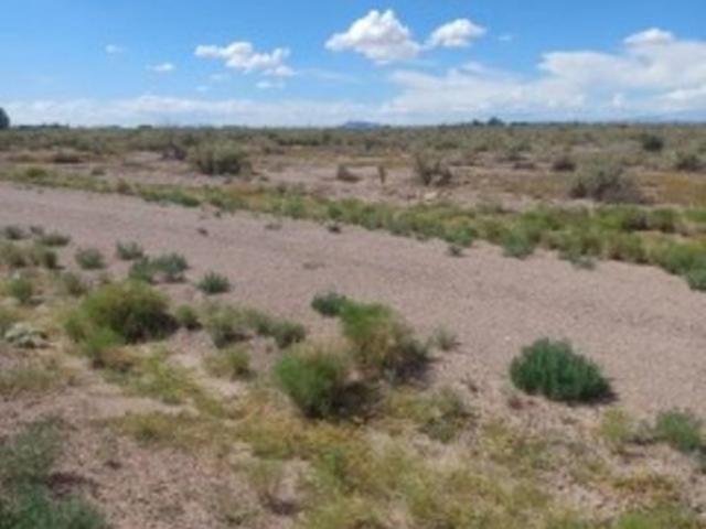 Land for sale in Luna, New Mexico