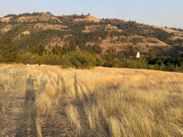 Land for sale in Juliaetta, Idaho