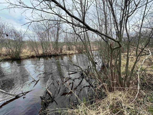Land for sale in Caspian, Michigan
