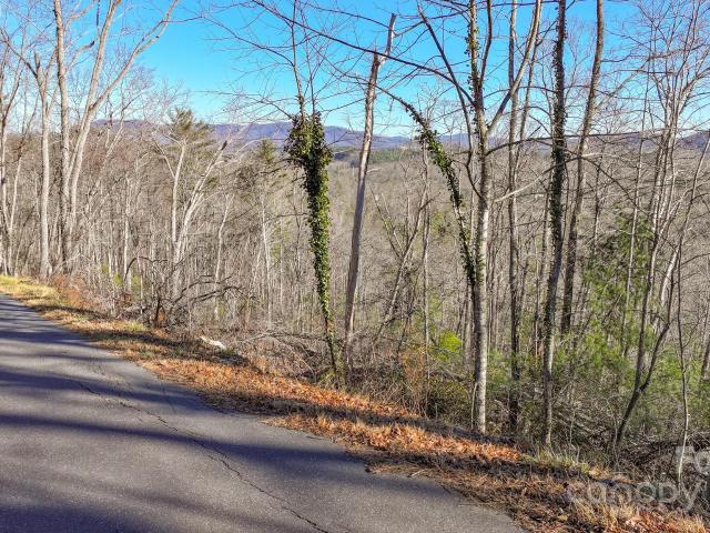 Land for sale in Spruce Pine, North Carolina