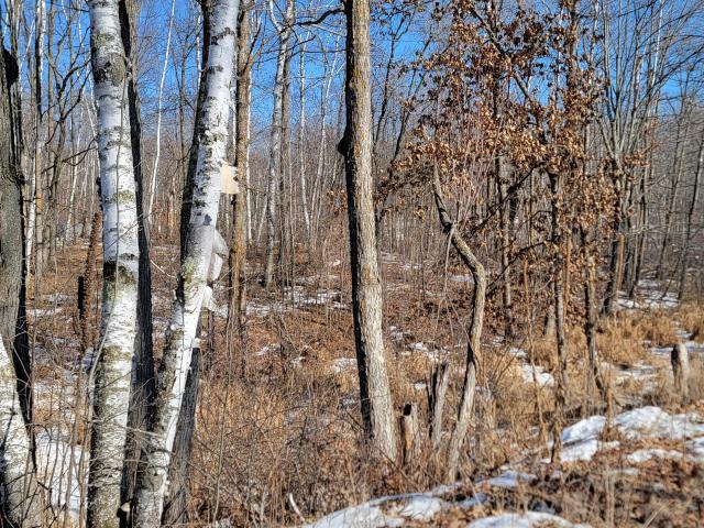 Land for sale in Motley, Minnesota