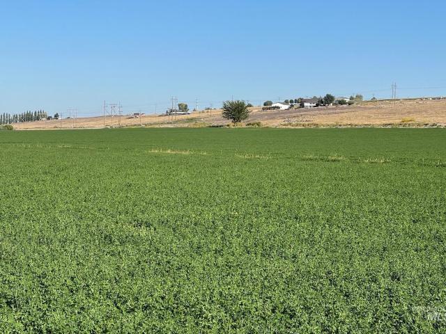 Land for sale in Melba, Idaho