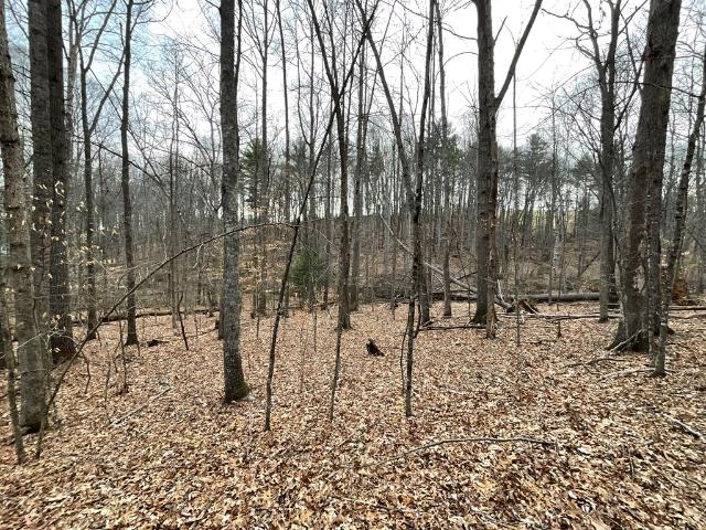 Land for sale in Virginia