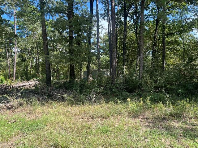 Land for sale in Polk, Texas